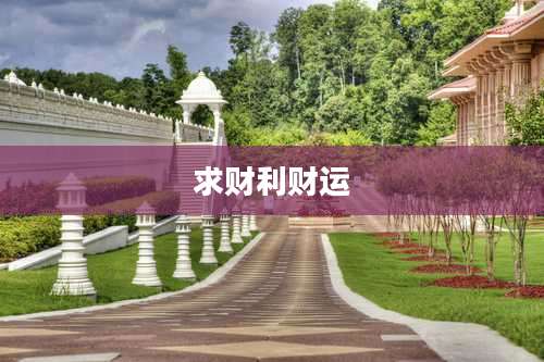 求财利财运