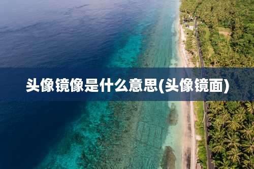 头像镜像是什么意思(头像镜面)