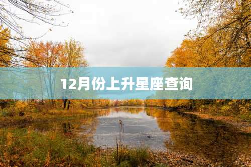 12月份上升星座查询