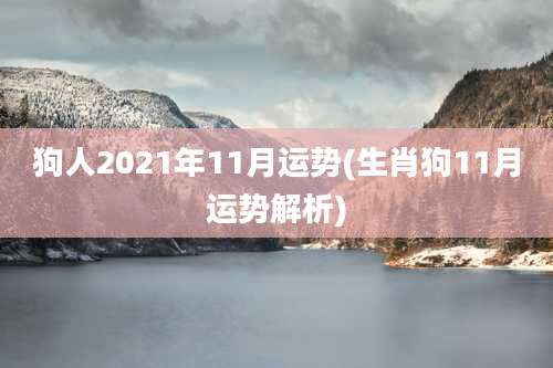 狗人2021年11月运势(生肖狗11月运势解析)