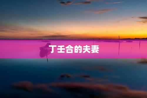 丁壬合的夫妻