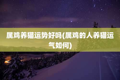 属鸡养猫运势好吗(属鸡的人养猫运气如何)