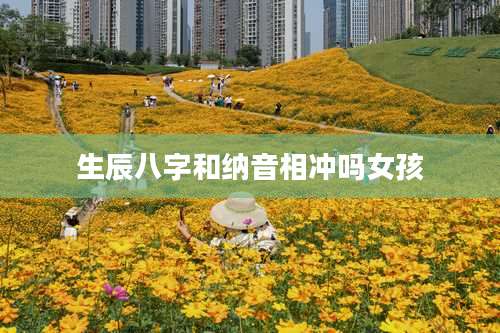 生辰八字和纳音相冲吗女孩