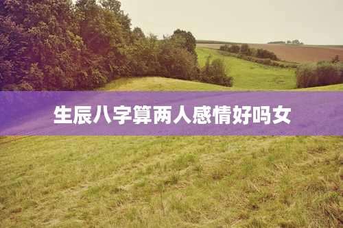生辰八字算两人感情好吗女