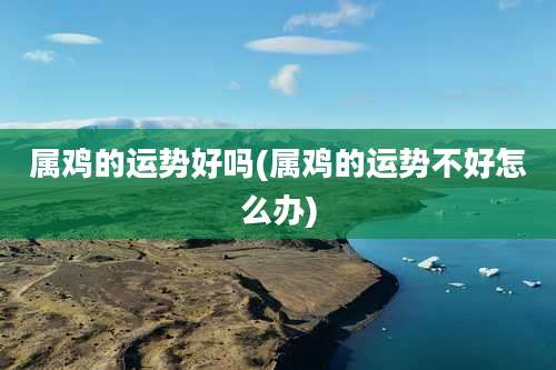 属鸡的运势好吗(属鸡的运势不好怎么办)