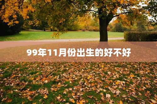 99年11月份出生的好不好