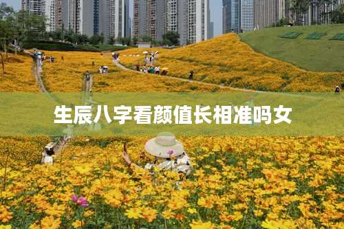 生辰八字看颜值长相准吗女