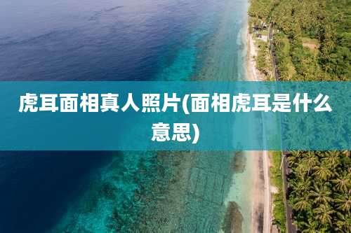 虎耳面相真人照片(面相虎耳是什么意思)