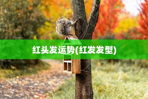 红头发运势(红发发型)