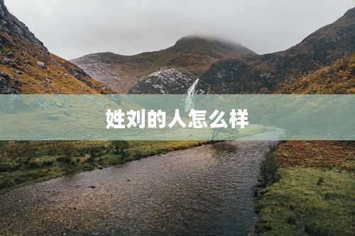 姓刘的人怎么样