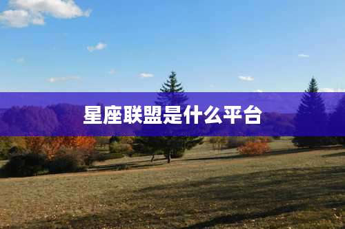 星座联盟是什么平台