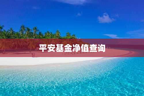 平安基金净值查询