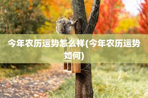 今年农历运势怎么样(今年农历运势如何)