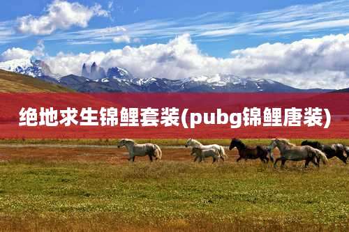 绝地求生锦鲤套装(pubg锦鲤唐装)