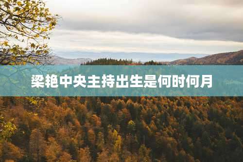 梁艳中央主持出生是何时何月