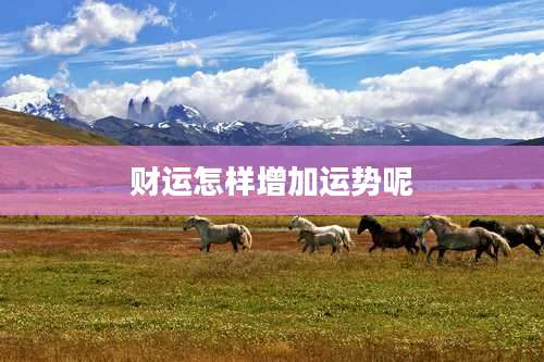 财运怎样增加运势呢