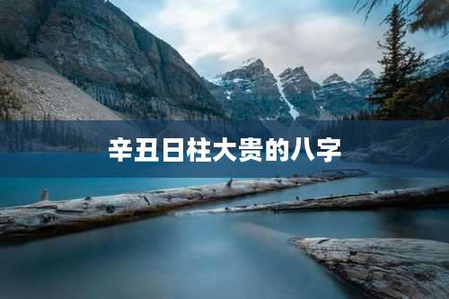 辛丑日柱大贵的八字