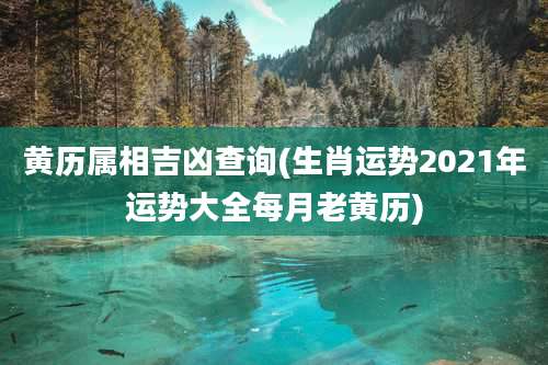 黄历属相吉凶查询(生肖运势2021年运势大全每月老黄历)