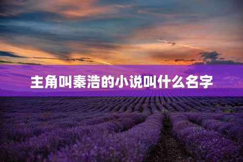 主角叫秦浩的小说叫什么名字