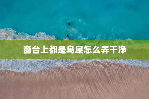 窗台上都是鸟屎怎么弄干净