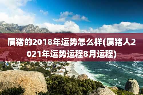 属猪的2018年运势怎么样(属猪人2021年运势运程8月运程)