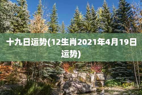 十九日运势(12生肖2021年4月19日运势)