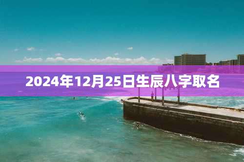 2024年12月25日生辰八字取名