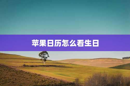 苹果日历怎么看生日