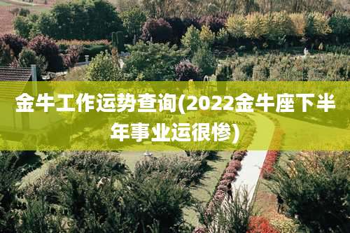 金牛工作运势查询(2022金牛座下半年事业运很惨)