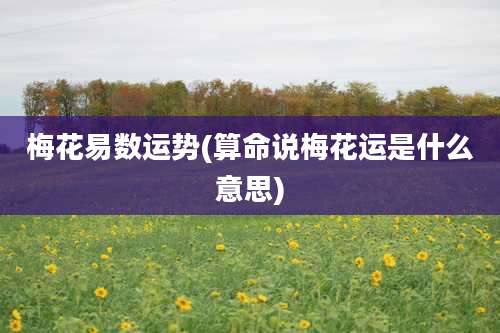 梅花易数运势(算命说梅花运是什么意思)