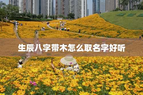 生辰八字带木怎么取名字好听