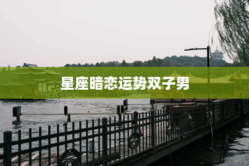 星座暗恋运势双子男