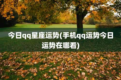 今日qq星座运势(手机qq运势今日运势在哪看)