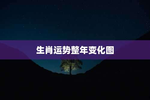 生肖运势整年变化图