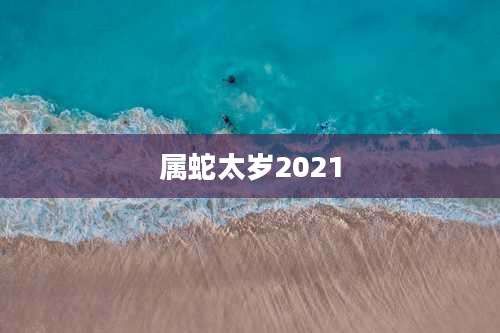 属蛇太岁2021