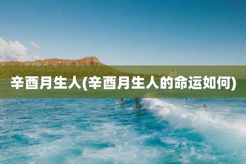 辛酉月生人(辛酉月生人的命运如何)