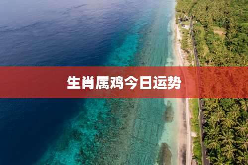 生肖属鸡今日运势