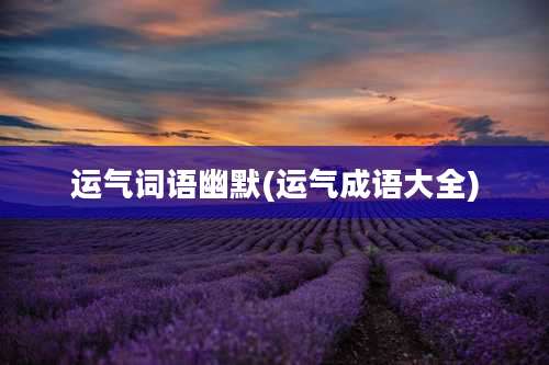 运气词语幽默(运气成语大全)