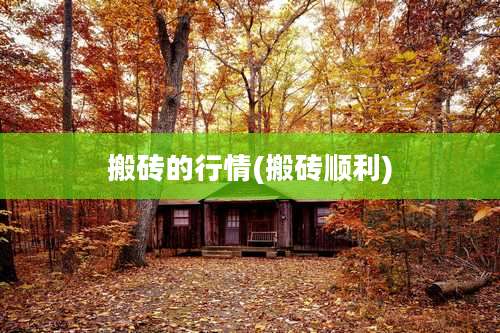 搬砖的行情(搬砖顺利)