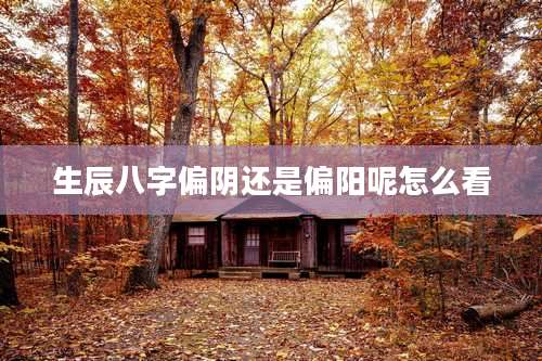 生辰八字偏阴还是偏阳呢怎么看