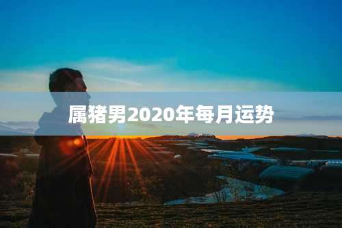 属猪男2020年每月运势