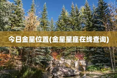 今日金星位置(金星星座在线查询)