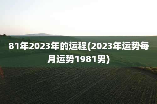 81年2023年的运程(2023年运势每月运势1981男)