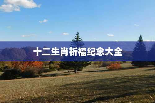 十二生肖祈福纪念大全