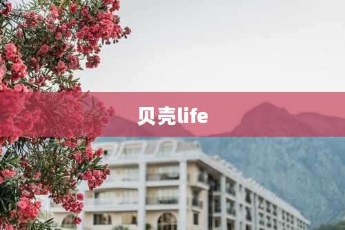 贝壳life