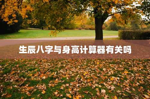 生辰八字与身高计算器有关吗