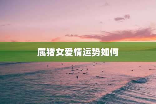 属猪女爱情运势如何