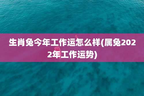 生肖兔今年工作运怎么样(属兔2022年工作运势)