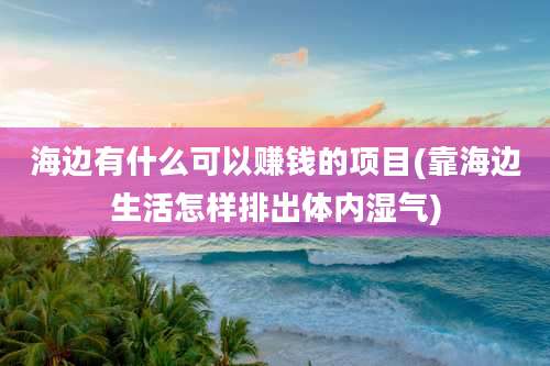 海边有什么可以赚钱的项目(靠海边生活怎样排出体内湿气)