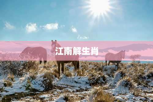 江南解生肖